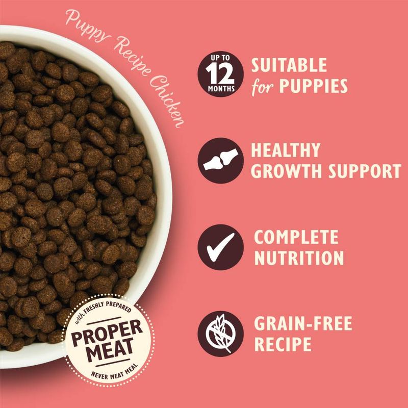 Lily's Kitchen Puppy Dry Dog Food - Chicken, Salmon & Peas || Lily's Kitchen || view 3