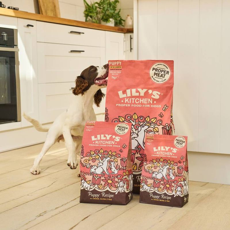 Lily's Kitchen Puppy Dry Dog Food - Chicken, Salmon & Peas || Lily's Kitchen || view 5