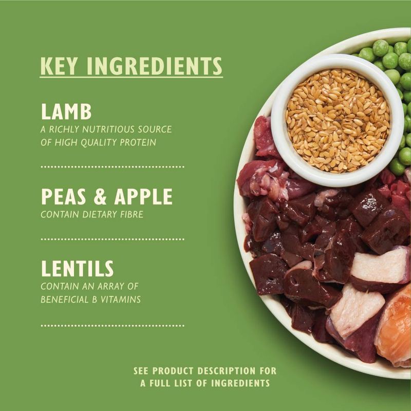Lily's Kitchen Adult Dry Dog Food - Lamb, Potatoes & Parsley || Lily's Kitchen || view 4