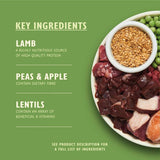 Lily's Kitchen Adult Dry Dog Food - Lamb, Potatoes & Parsley || Lily's Kitchen || view 4