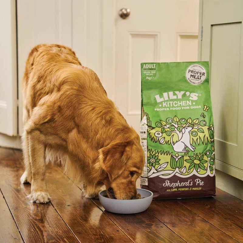 Lily's Kitchen Adult Dry Dog Food - Lamb, Potatoes & Parsley || Lily's Kitchen || view 5