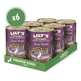 Lily’s Kitchen Senior Recipe || Lily's Kitchen || view 2