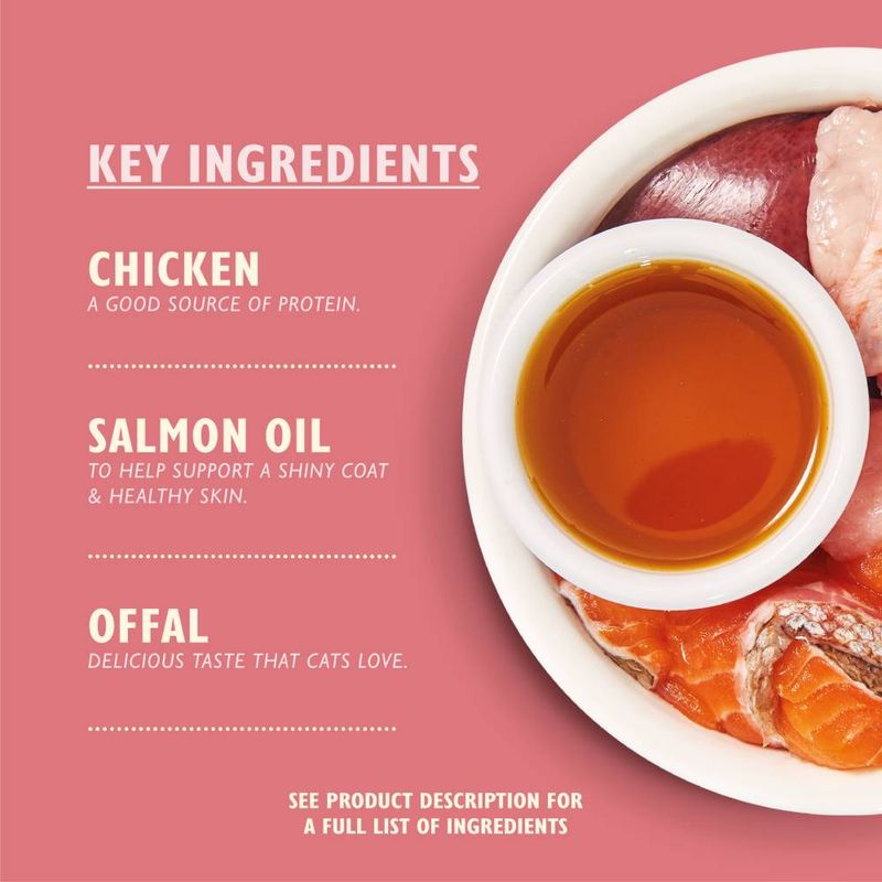 Lily's Kitchen Chicken Paté for Kittens || undefined || view 4