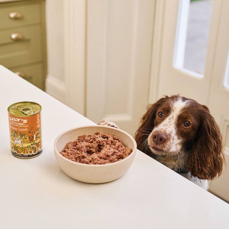Lily's Kitchen Grain Free Multipack || Lily's Kitchen || view 7