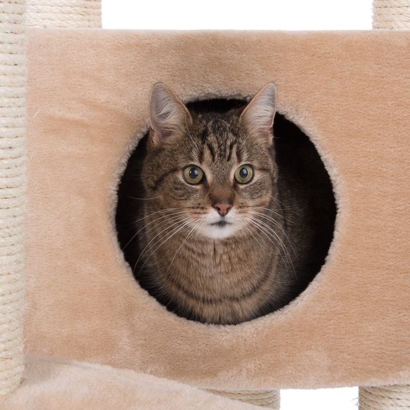 Brown tabby cat sitting in a beige cave of a scratching post with sisal-wrapped columns.