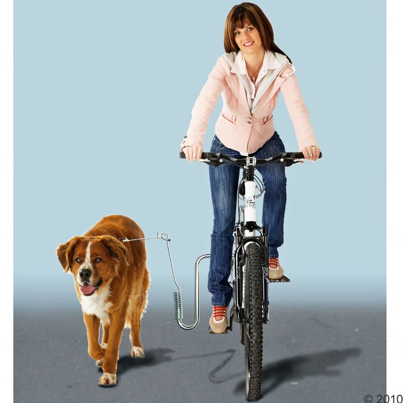 DogRunner Cycle Mount || Kleinmetall || view 2