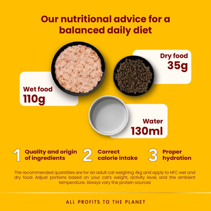 Daily feeding guide: 110g wet food, 35g dry food, 130ml water. Advice includes ingredient quality, correct calorie intake, and proper hydration for a balanced diet.