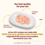 Plate showing chicken with salmon, chicken broth and rice. Text states all HFC recipes use 100% human-grade meat or fish, originally fit for human consumption, now food for your cat.
