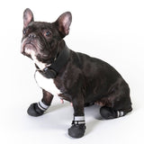 Sports & Protective Dog Boots || zooplus Exclusive || view 4