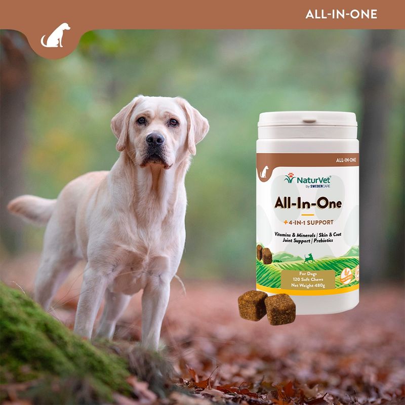 NaturVet All-In-One 4-in-1 support for dogs. Contains vitamins, minerals, skin and coat care, joint support and prebiotics. Pack of 120 soft chews, net weight 480g.