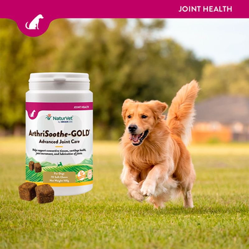 NaturVet ArthriSoothe-Gold Snacks || NaturVet || view 3