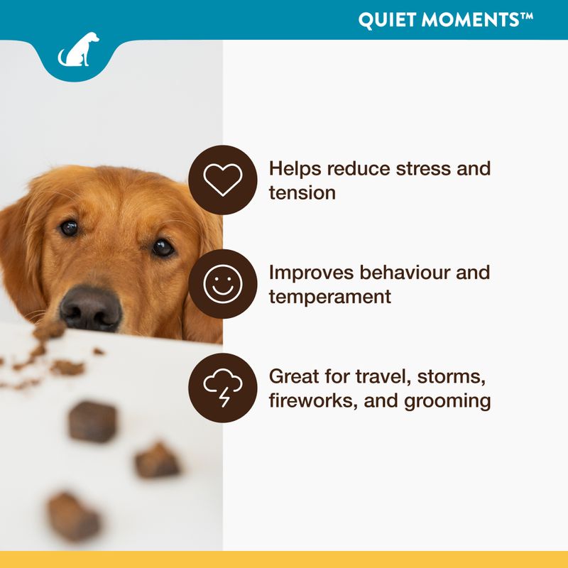 NaturVet Quiet Moments Snacks || NaturVet || view 5