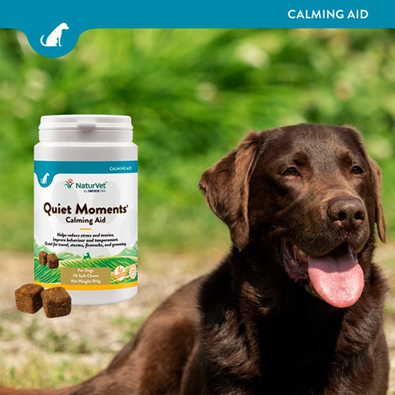NaturVet Quiet Moments Snacks || NaturVet || view 3