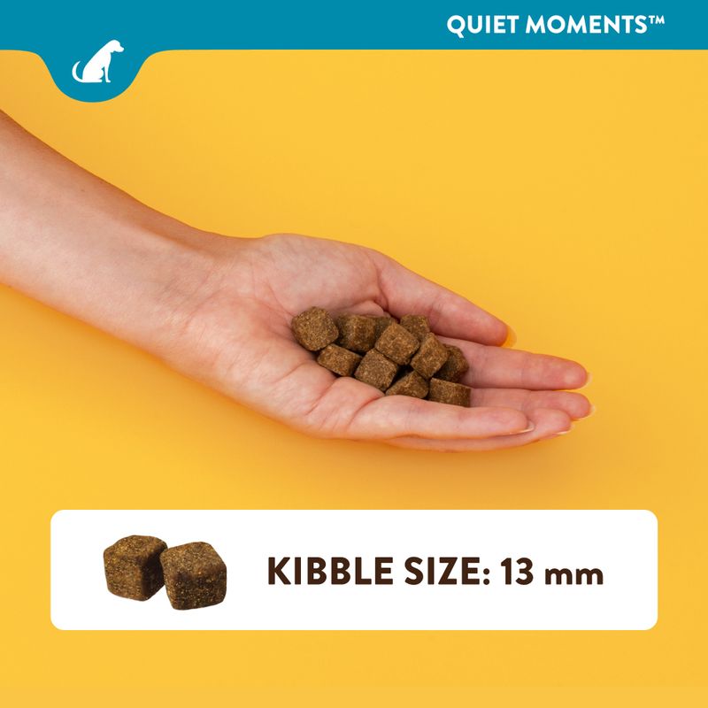 NaturVet Quiet Moments Snacks || NaturVet || view 8
