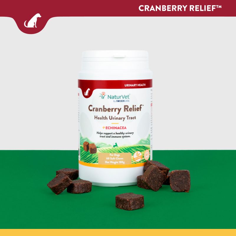 NaturVet Cranberry Relief || NaturVet || view 3