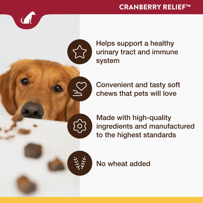 NaturVet Cranberry Relief || NaturVet || view 4