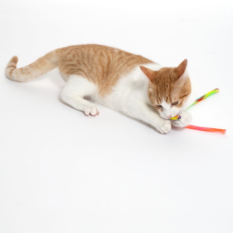 Red and white cat playing with colourful fabric cat toy.
