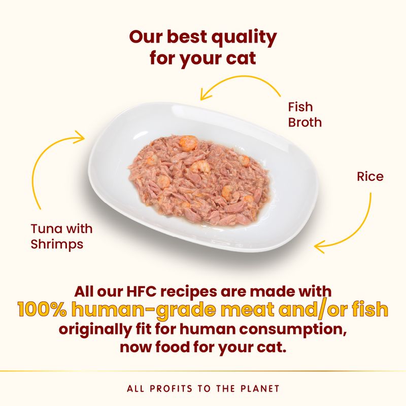 Tuna with shrimps, fish broth and rice shown on a plate. All HFC recipes use 100% human-grade meat or fish, originally fit for human consumption, now food for your cat.