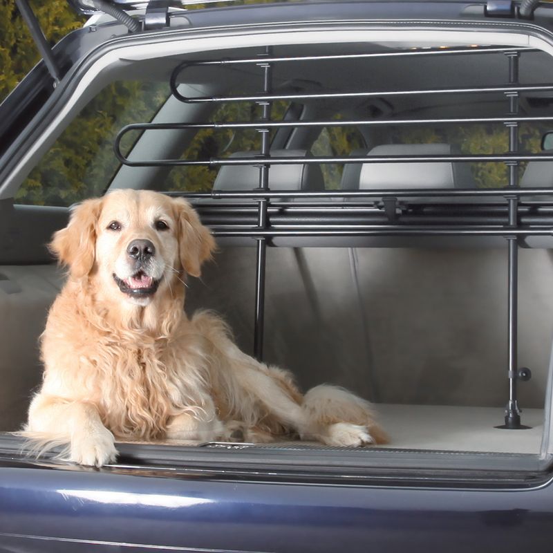 Car boot area with installed metal partition grille for safe transport of pets. Dog sitting in the boot behind the partition grille.