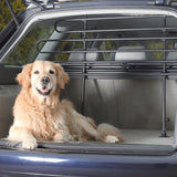 Car boot area with installed metal partition grille for safe transport of pets. Dog sitting in the boot behind the partition grille.