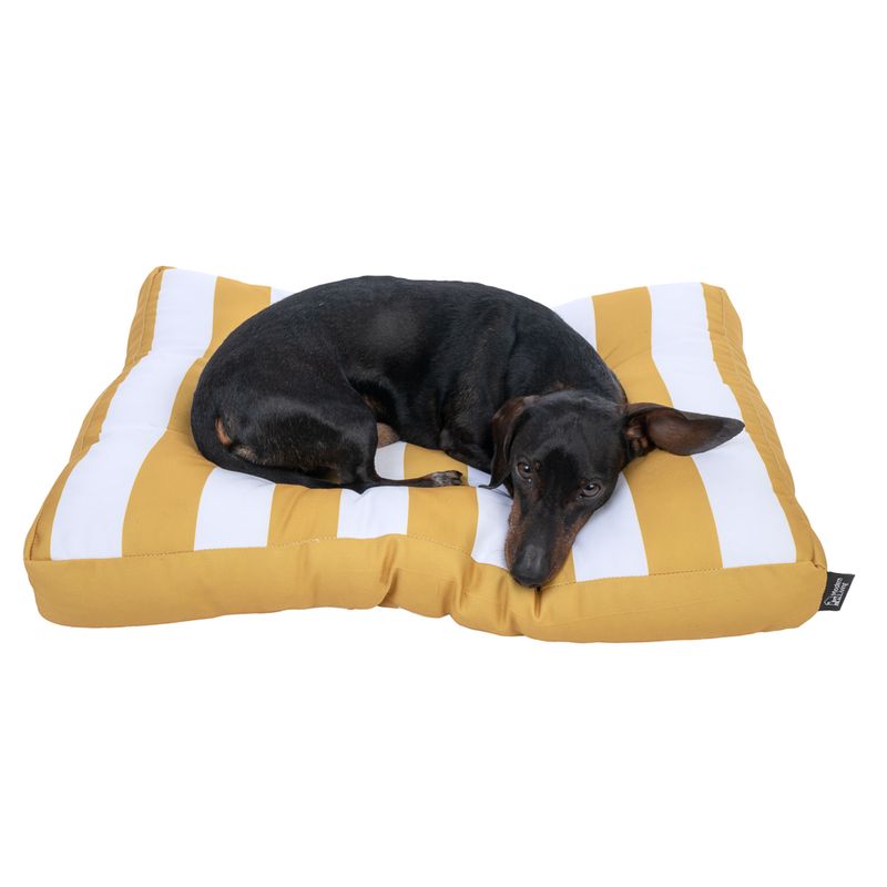 Modern Living Bari Dog Cushion || Modern Living || view 4