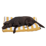 Modern Living Bari Dog Cushion || Modern Living || view 5