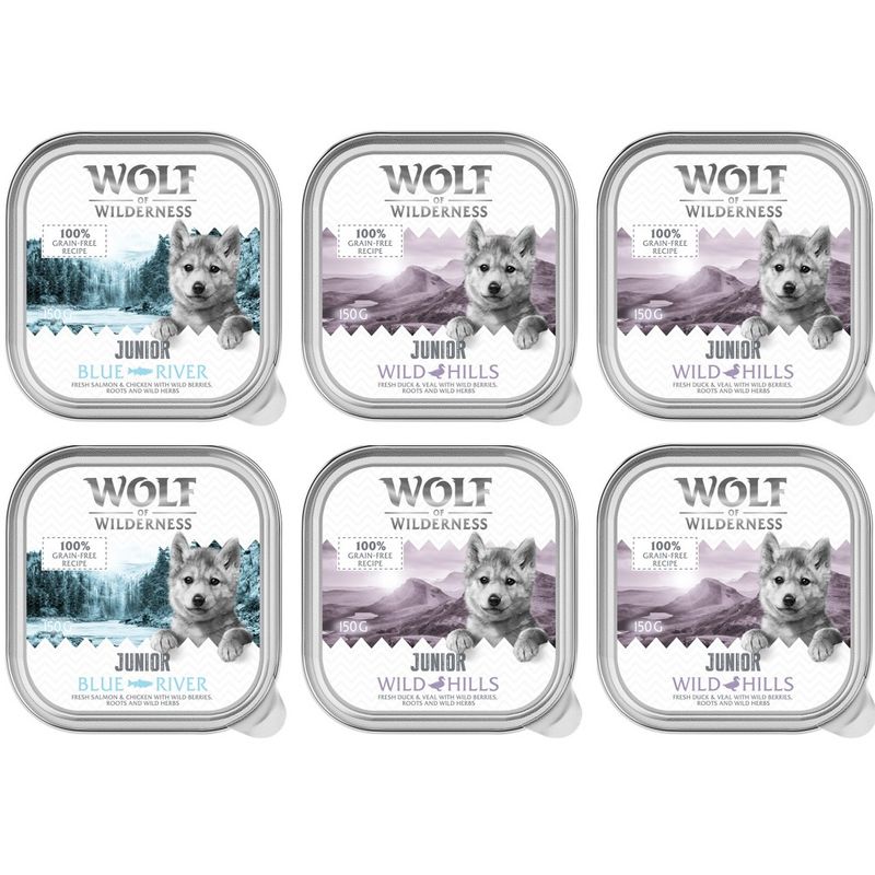 Wolf of Wilderness Junior wet food, varieties Blue River with fresh salmon & chicken and Wild Hills with fresh duck, 100% grain-free recipe, 150g trays.