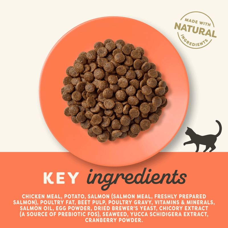 Applaws Cat Food Economy Packs || Applaws || view 6