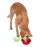 Silicone Travel Bowl || zooplus Exclusive || view 1