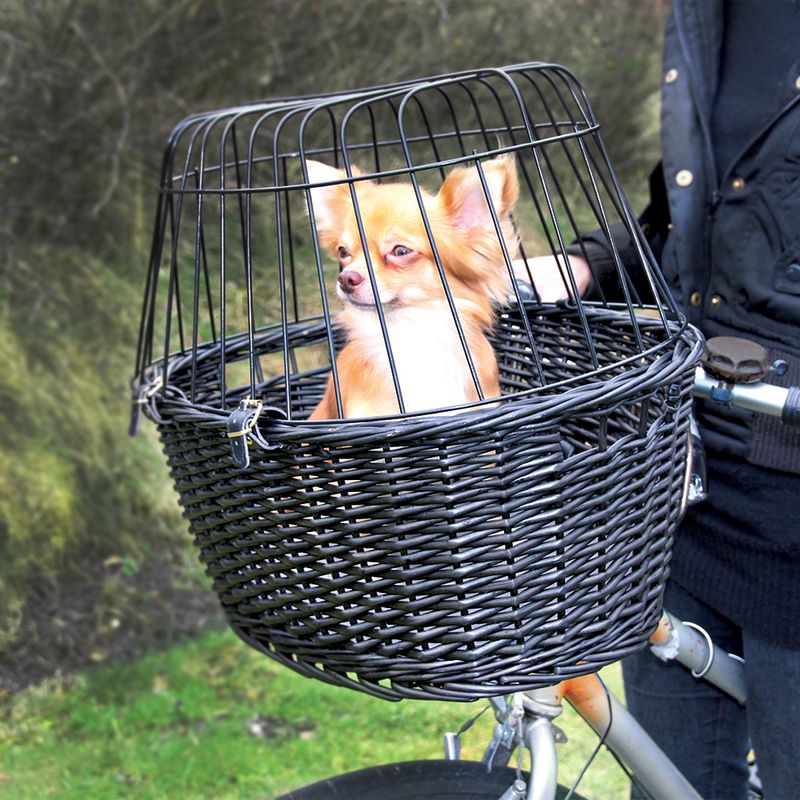 Bicycle basket made of black wicker with metal grid cover, mounted on the handlebar. Suitable for transporting small pets.
