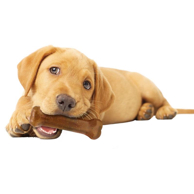 Nylabone PuppyBone || Nylabone || view 2