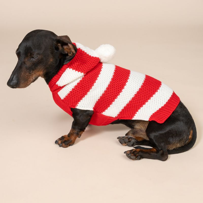 TIAKI Red Striped Jumper for Dogs