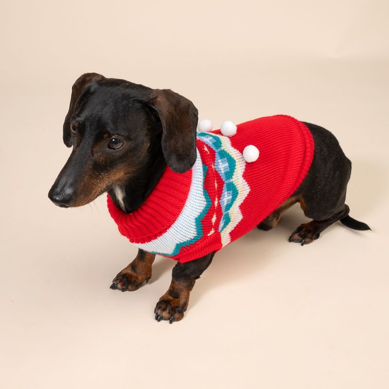 Black dachshund wearing a red jumper with colourful zigzag pattern and white pompoms. Product shows dog clothing for cold days.