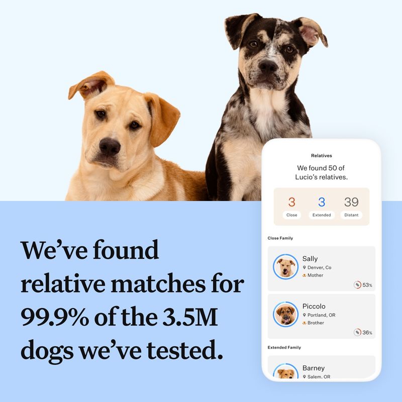 Wisdom Panel™ Breed Discovery Dog DNA Test || Wisdom Panel || view 7