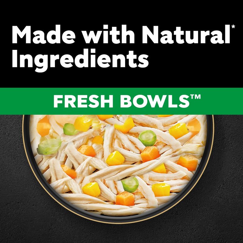 Cesar Fresh Bowls in Gravy 10 x 85g || Cesar || view 10