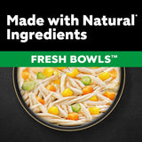 Cesar Fresh Bowls in Gravy 10 x 85g || Cesar || view 10