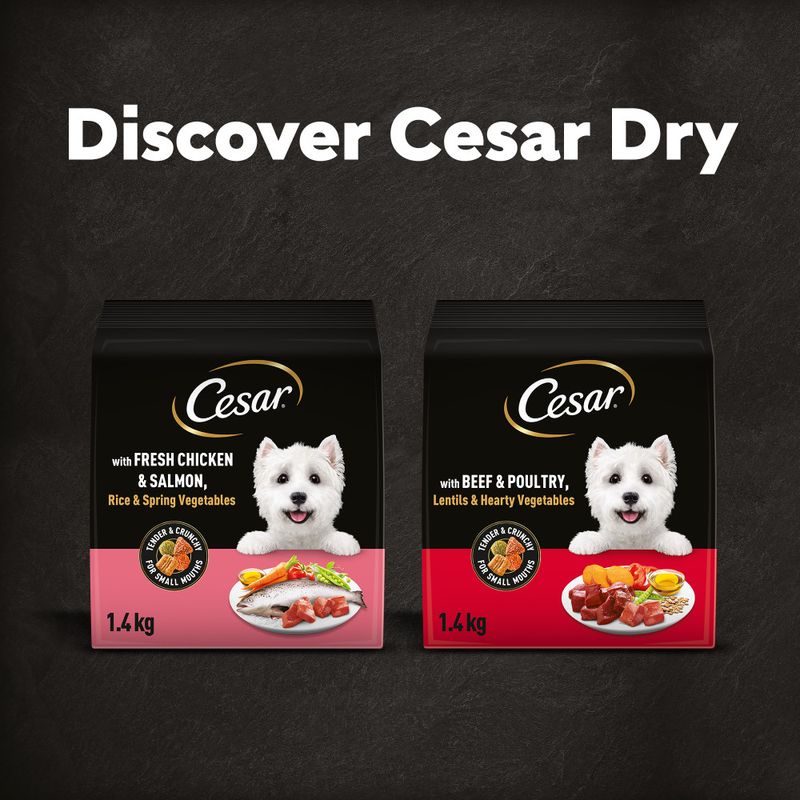 Cesar Adult with Chicken, Salmon & Vegetables