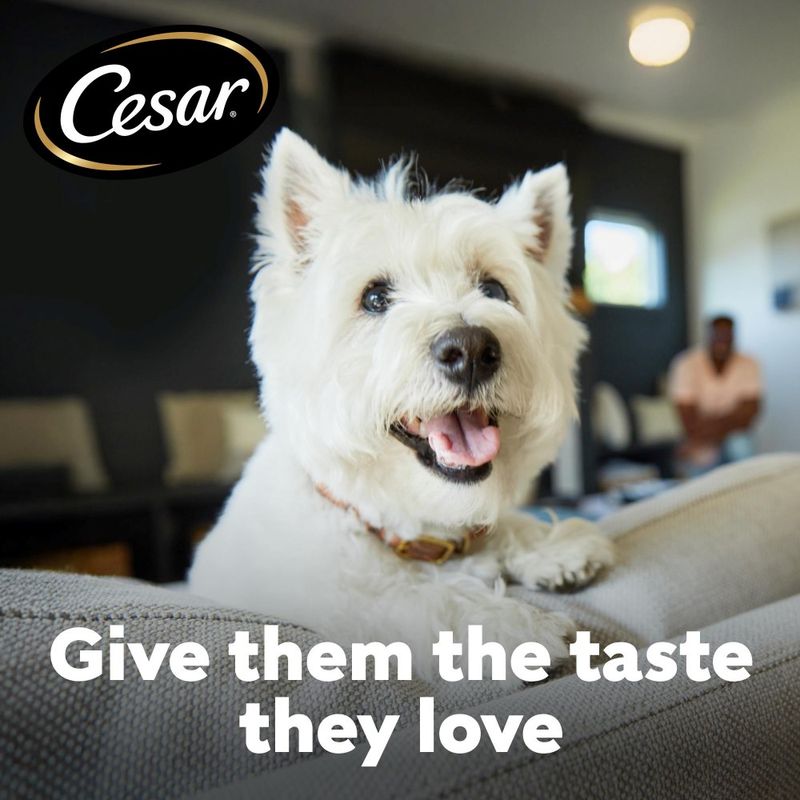 Cesar Adult with Beef, Poultry & Vegetables