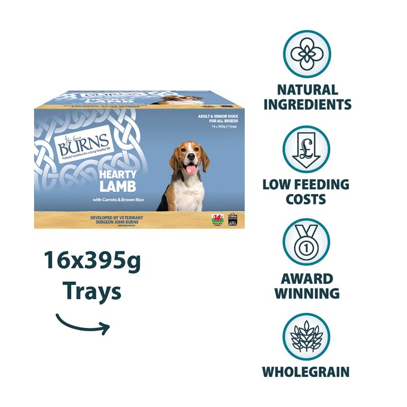 Burns Wet Food for Dogs 16 x 395g || Burns || view 8