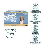 Burns Wet Food for Dogs 16 x 395g || Burns || view 8