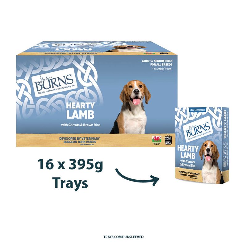 Burns Wet Food for Dogs 16 x 395g || Burns || view 9