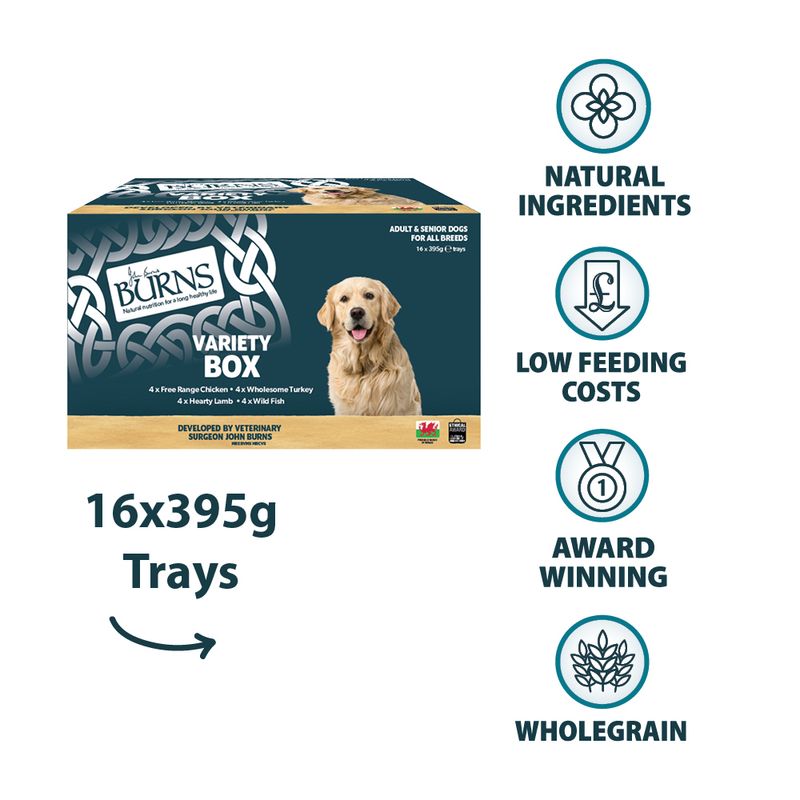 Burns Wet Food for Dogs 16 x 395g || Burns || view 14
