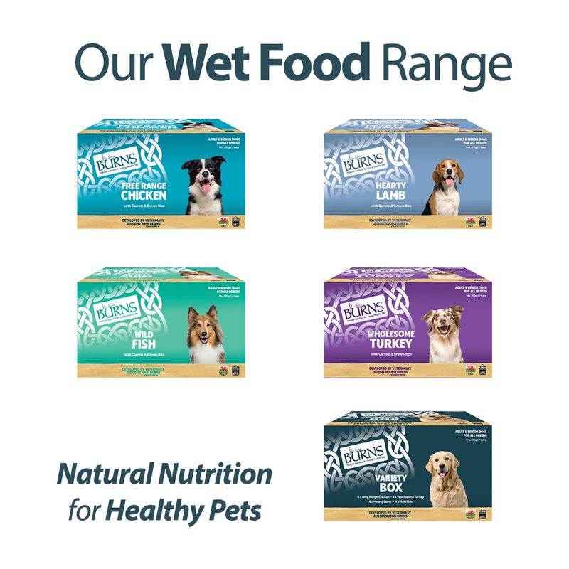 Burns Wet Food for Dogs 16 x 395g || Burns || view 16