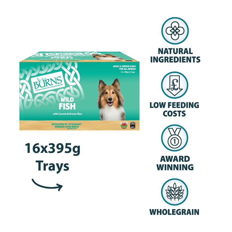 Burns Wet Food for Dogs 16 x 395g || Burns || view 5