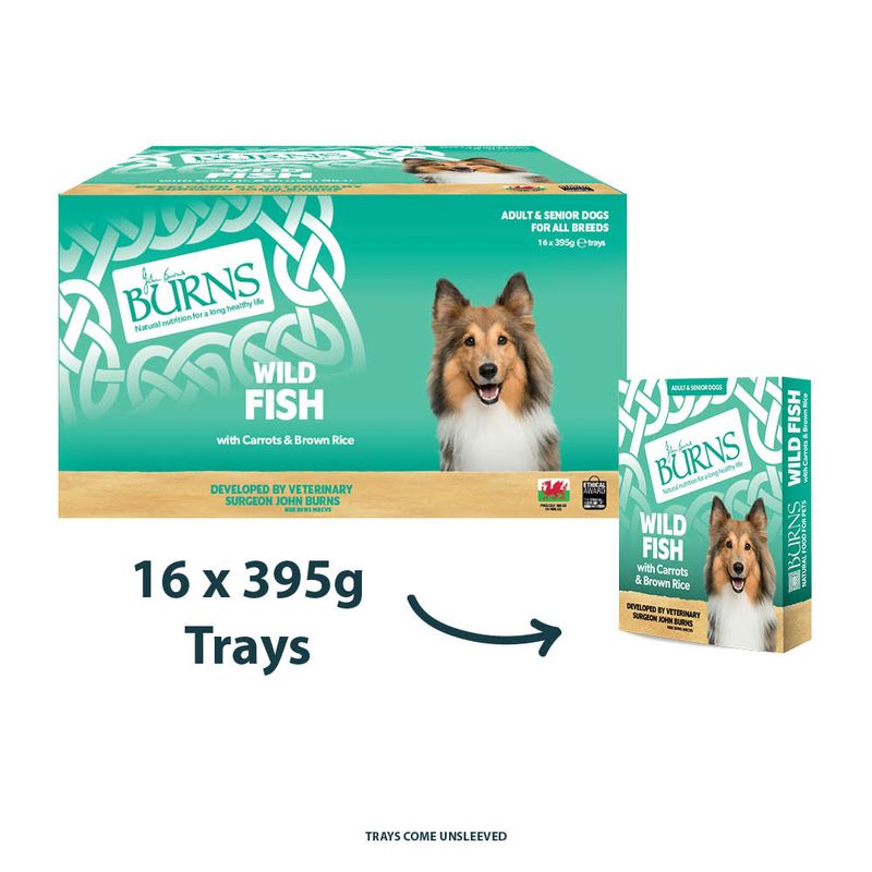 Burns Wet Food for Dogs 16 x 395g || Burns || view 6