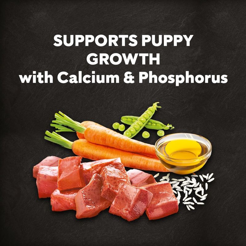 Cesar Puppy with Chicken, Rice & Vegetables