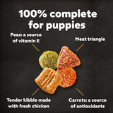 Cesar Puppy with Chicken, Rice & Vegetables