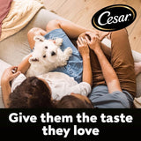 Cesar Puppy with Chicken, Rice & Vegetables