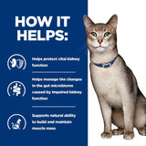 Hill's Prescription Diet k/d Kidney Care with Salmon