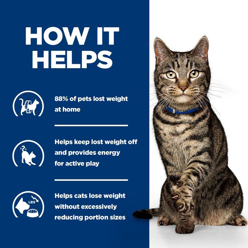 Hill's Prescription Diet Metabolic Weight & Diabetes Management with Salmon